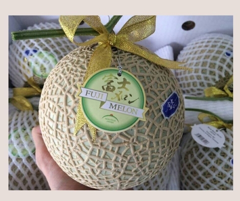 Dưa Lưới Nhật Fuji Melon- Musk Melon