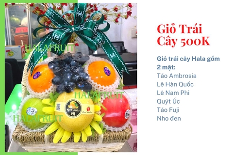 Giỏ trái cây 500k