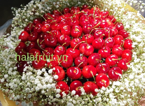 Bó hoa cherry size vừa