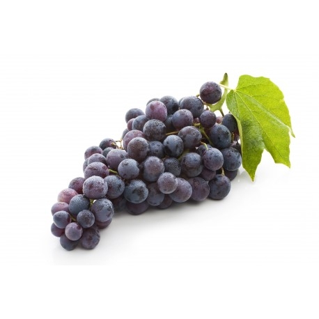 Nho đen Mỹ organic