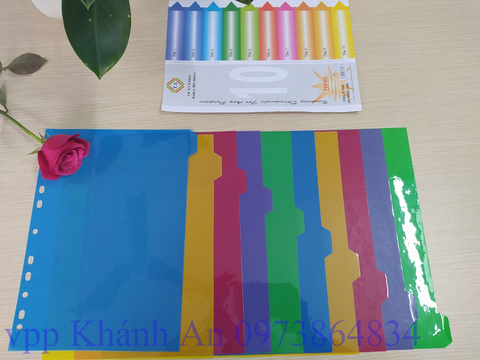 Chia File nhựa 10 màu TM