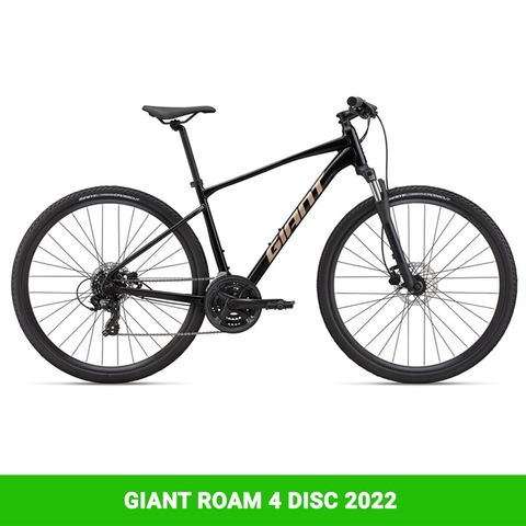 Xe đạp địa hình GIANT ROAM 4 Disc