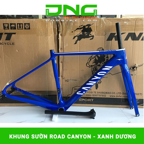 Khung sườn xe đạp đua CANYON SLX DISC CARBON