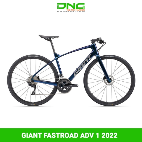 Xe đạp đường phố GIANT FASTROAD ADV 1