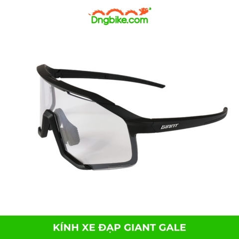 Kính xe đạp GIANT GALE