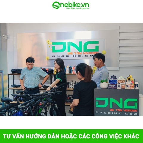 Tư vấn hướng dẫn hoặc các công việc khác