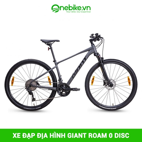 Xe đạp địa hình GIANT ROAM 0 Disc 2023