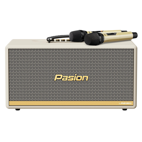 Loa Paramax Pasion 2