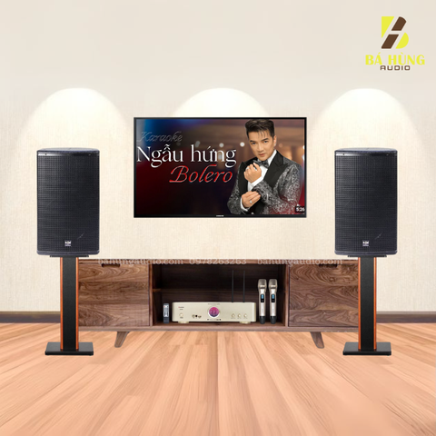 Dàn Karaoke Gia Đình : Loa SE-Audiotechnik CV-12i, Amply Sumico SU450