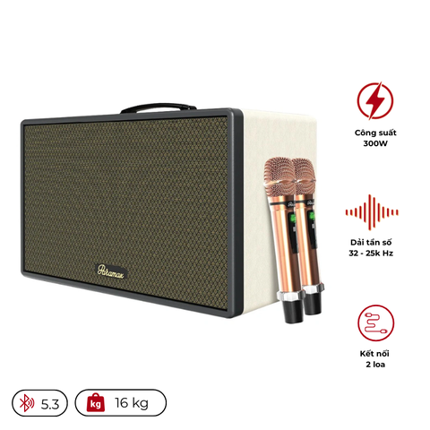 Loa Karaoke Di Động PARAMAX Saga