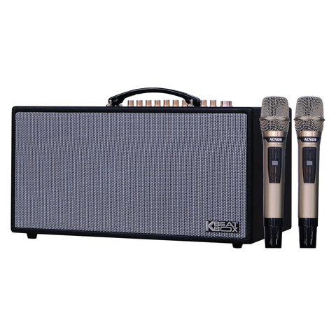 Loa Xách Tay Acnos CS450 Alpha (2 Bass 16.5cm, 150W, Kèm 2 Micro)