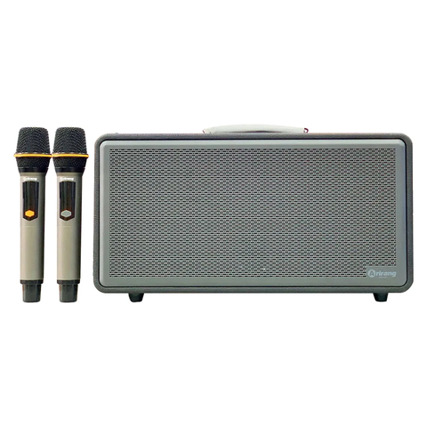 Loa Xách Tay Arirang AM1