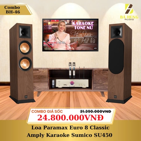 Loa Paramax Euro 8 Classic, Amply Karaoke Sumico SU450