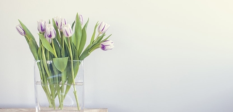Cách cắm hoa tươi lâu chị em nên biết