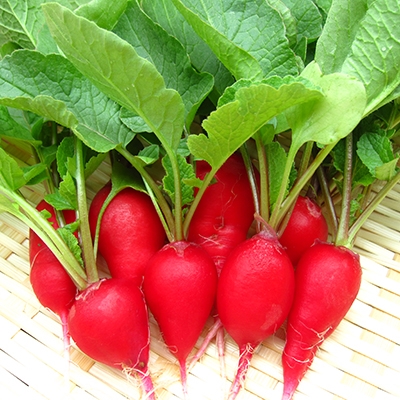Mẹo hay bảo quản rau củ tươi ngon nửa tháng liền