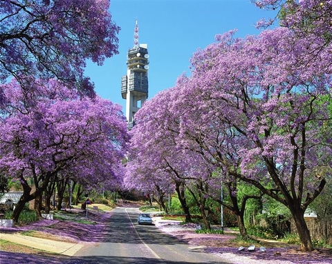 ĐÔI NÉT VỀ ĐẤT NƯỚC NAM PHI