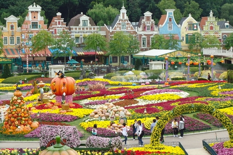 Tour Hàn quốc: Hà Nội - Seoul - Nami-Jeju-Everland park 6 ngày/ 5 đêm