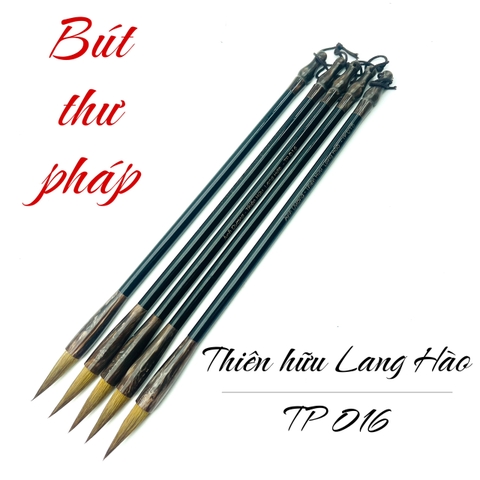 TP 016 - Thiên hữu lang hào