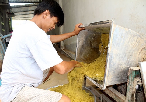 Sản Xuất Nhang: Từ Nghề Truyền Thống Đến Công Nghiệp Hiện Đại