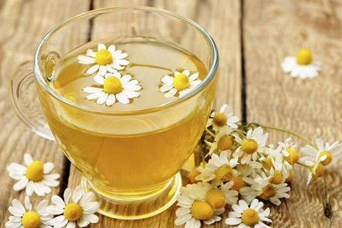 cách ngâm rượu hoa cúc giảm đau đầu tăng thị lực