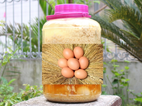 Hình ảnh bình ngâm rượu nếp với trứng gà
