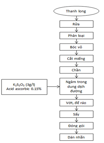 Phương pháp sấy khô, sấy dẻo trái thanh long đạt tiêu chuẩn bằng máy sấy tự động đa công suất