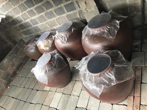 Phất lên nhờ nuôi heo siêu nạc