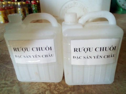 Tiến hành thu rượu chuối