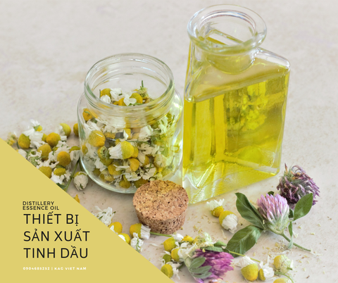 san-xuat-tinh-dau-349bd267-9f4c-4ba6-ac4c-d2e1a306fb94.png