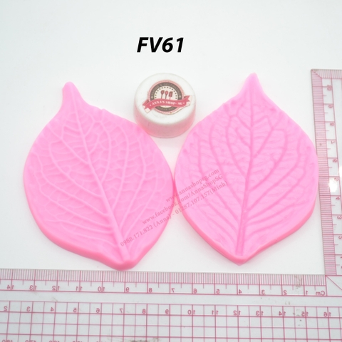 VÂN LÁ FV61