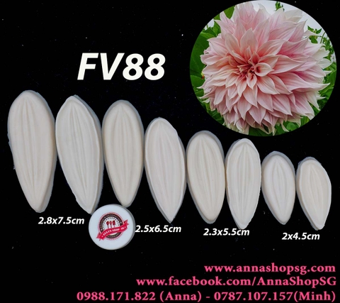 SET VÂN THƯỢC DƯỢC 4 SIZE FV88