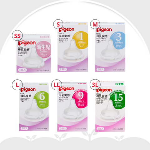 Núm ti Pigeon cổ rộng - Nhật bản