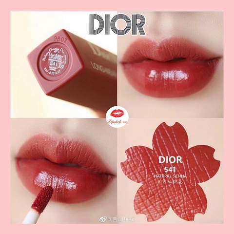 Son kem Dior Addict Lip Tattoo Màu 541 Natural Sienna đỏ đất 5ml (unbox)- Pháp