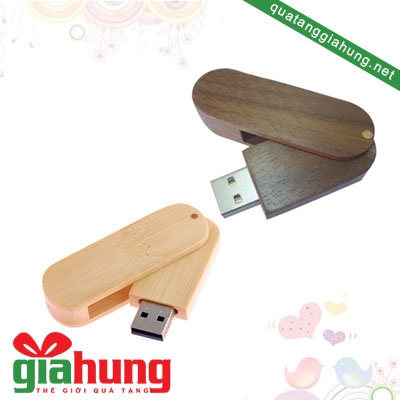 Usb gỗ 052