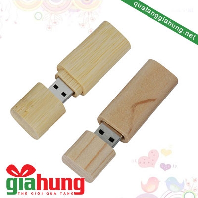 USB GỖ 053