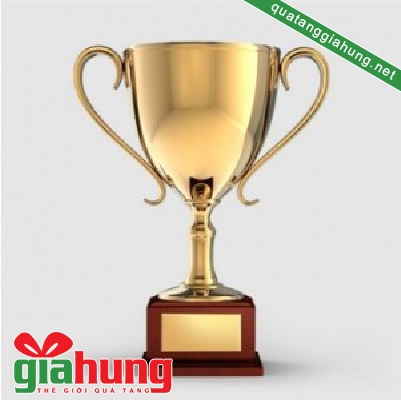 Cúp thể thao 01