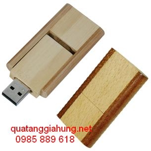 USB GỖ     GH-USBG 015