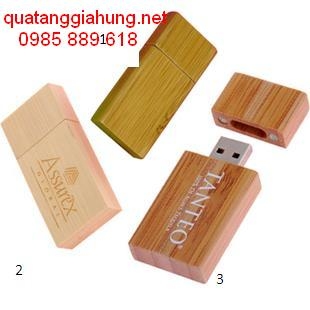 USB GỖ     GH-USBG 004