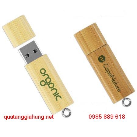 USB GỖ     GH-USBG 008