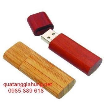 USB GỖ     GH-USBG 024