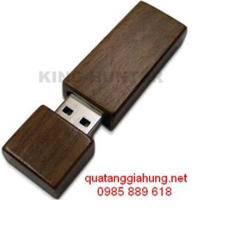USB GỖ     GH-USBG 005
