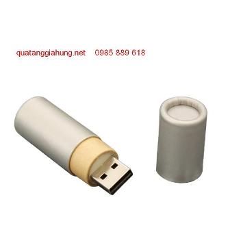 USB GỖ     GH-USBG 001