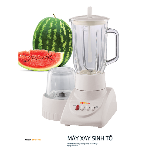 Máy xay sinh tố Goldsun 005