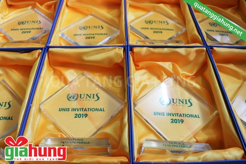 Biểu trưng pha lê ép ảnh của UNIS