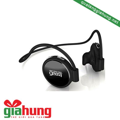 Tai nghe nhạc máy tính 002