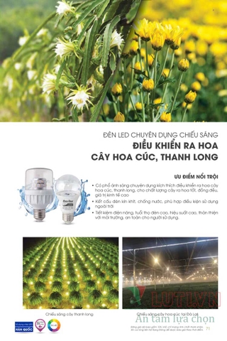 CATALOGUE ĐÈN LED RẠNG ĐÔNG NĂM 2021