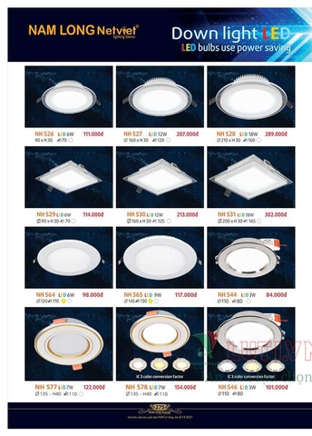 CATALOGUE BẢNG GIÁ ĐÈN LED TRANG TRÍ NAM LONG 2021 (PHẦN 2)