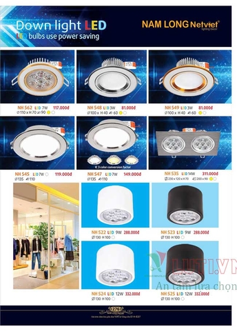 CATALOGUE BẢNG GIÁ ĐÈN LED TRANG TRÍ NAM LONG 2021 (PHẦN 2)