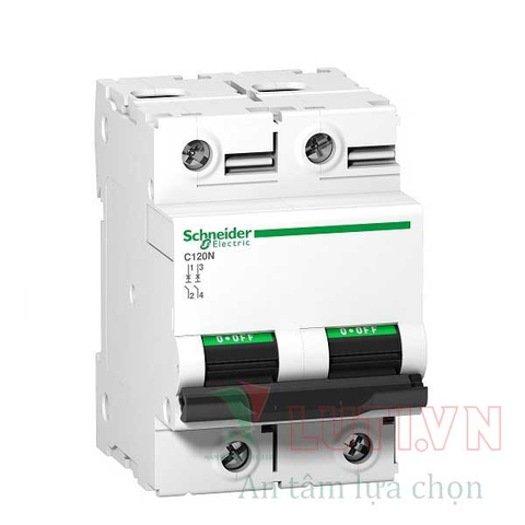 MCB Acti9 - Cầu dao/Aptomat tự động 15kA C120H Schneider 2P 125A A9N18459