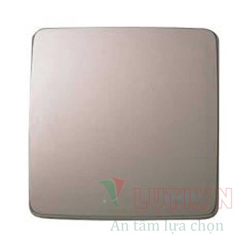 Bộ 1 công tắc B, 1 chiều, cắm nhanh 250V-16A  màu vàng ánh kim WMT501MYZ-VN